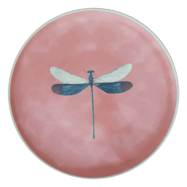 INP Insects Collection, Handpainted  Ceramic Plate, Dragonfly, Ø28 cm