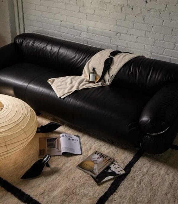 Sesann Sofa, V. Guarana 9000 Leather, Chrome Structure T23 Grey Feet T49