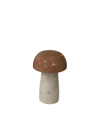 Mushroom Small Bulbous, Rosso Alicante