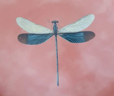 INP Insects Collection, Handpainted  Ceramic Plate, Dragonfly, ø28 cm