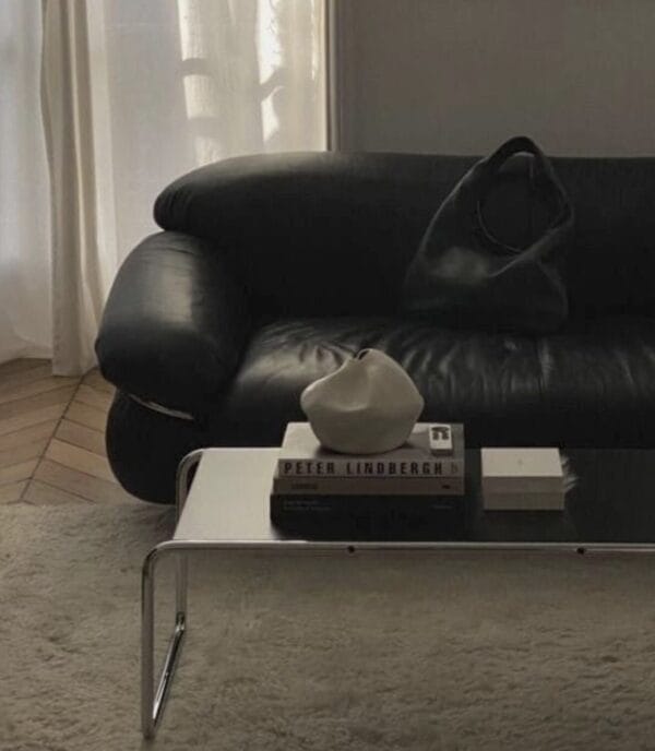 Sesann Sofa, V. Guarana 9000 Leather, Chrome Structure T23 Grey Feet T49 - Image 2