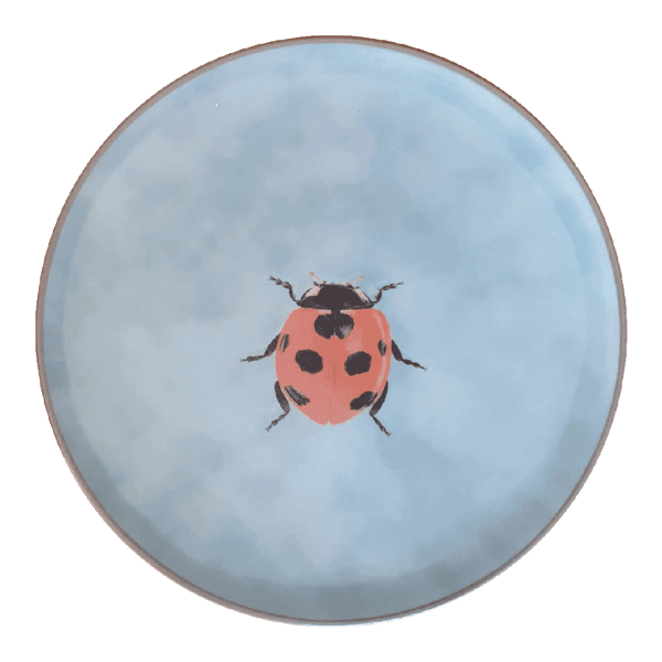 INP Insects Collection, Handpainted  Ceramic Plate, Ladybug, Ø28 cm