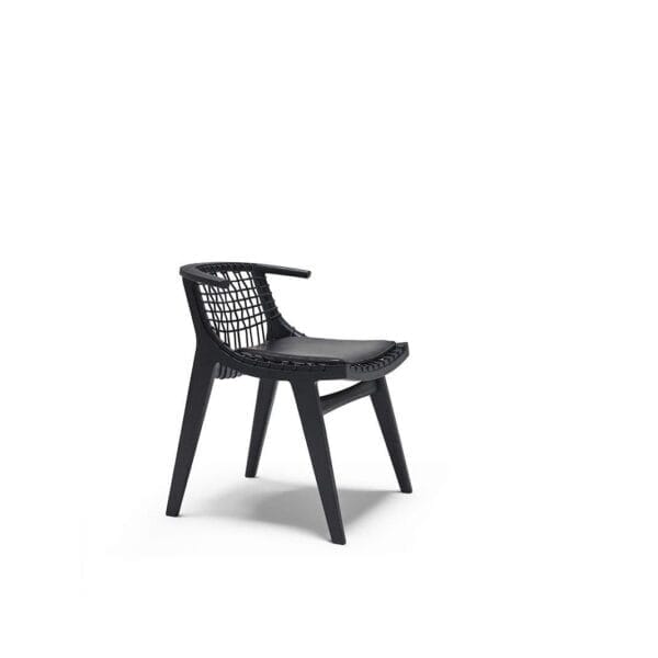 Klismos Black, With Arms And Wood Back, Black Seat Cushion - Image 3