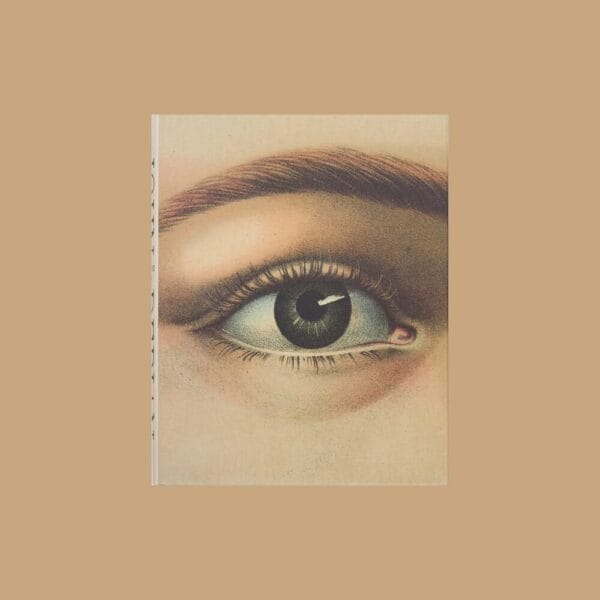 John Derian Picture - Book