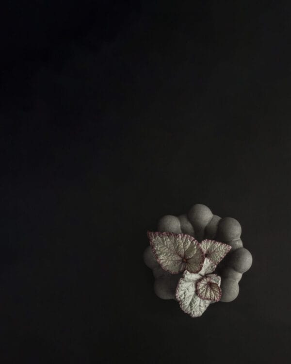 Bloom Tray, Mini - Dark Grey,   L15,5 / W15,5 cm - Image 4